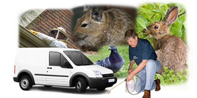 Stalybridge local van